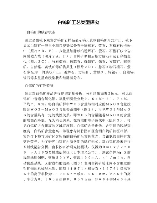 白钨矿工艺类型探究