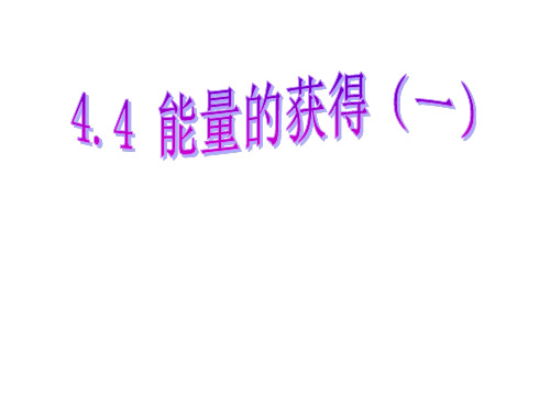 4.4能量的获得(第1课时)—浙教版九年级科学上册课件