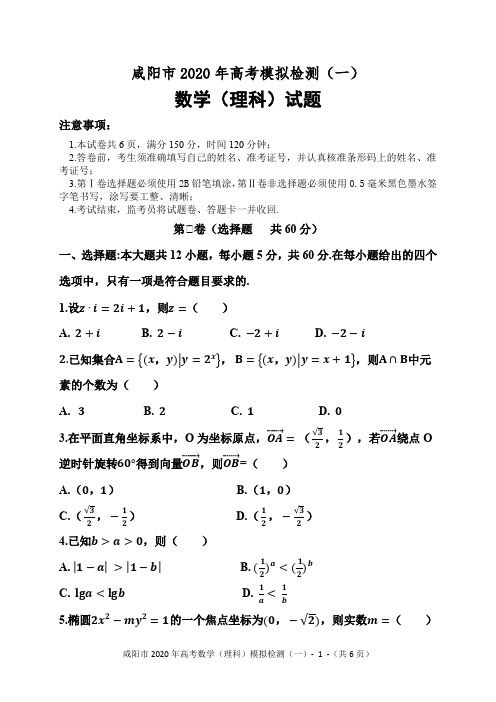 【2020届咸阳一模】理科数学试题及答案解析