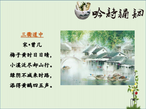 10新弘乐学堂阅读理解三年级上第十课 段意法初体验