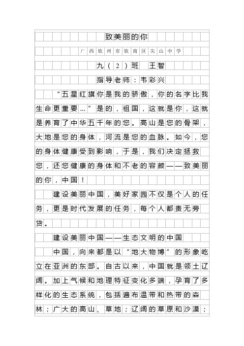 致美丽的你