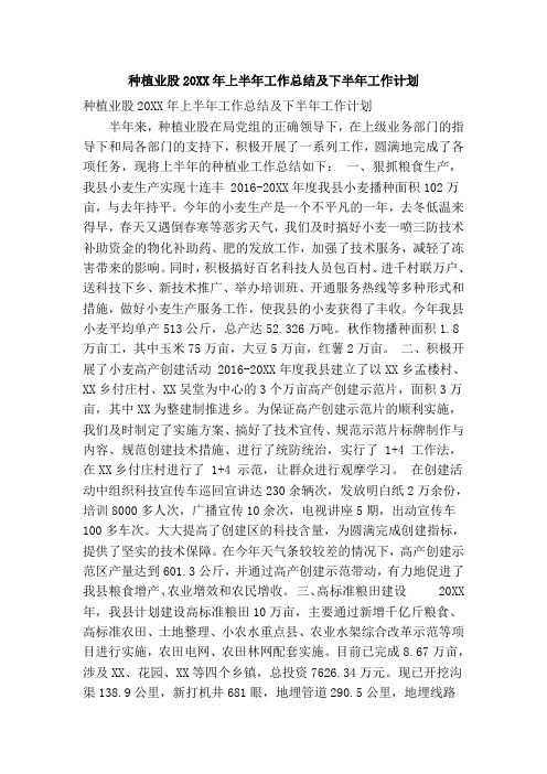 种植业股20XX年上半年工作总结及下半年工作计划(精简篇)