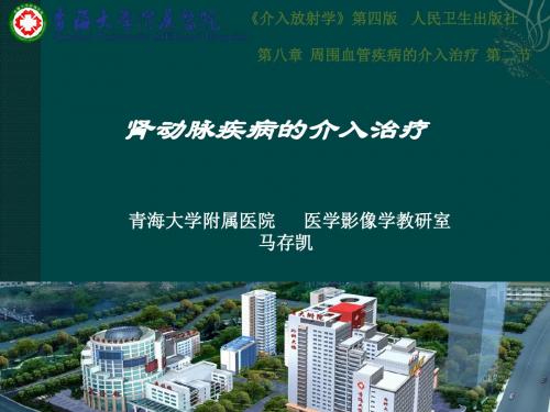 肾动脉疾病疾病的介入治疗马存凯ppt课件
