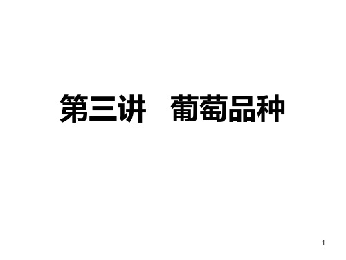 第三讲   葡萄品种PPT课件