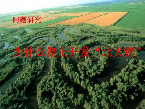 为什么停止开发北大荒(11改)