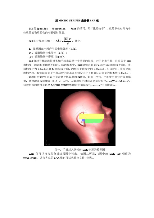 SAR测试