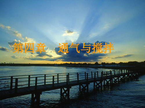 第三章_通气与搅拌