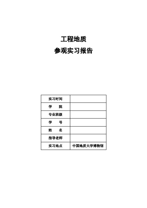 中国地质大学逸夫博物馆实习报告