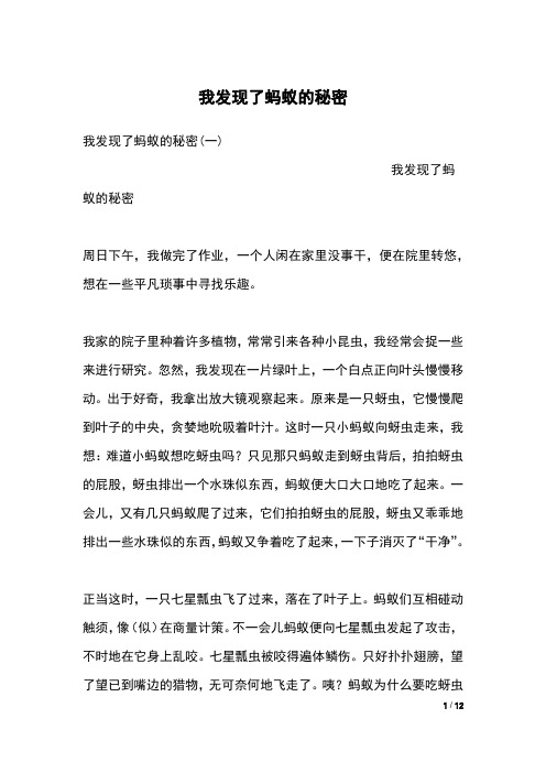 我发现了蚂蚁的秘密