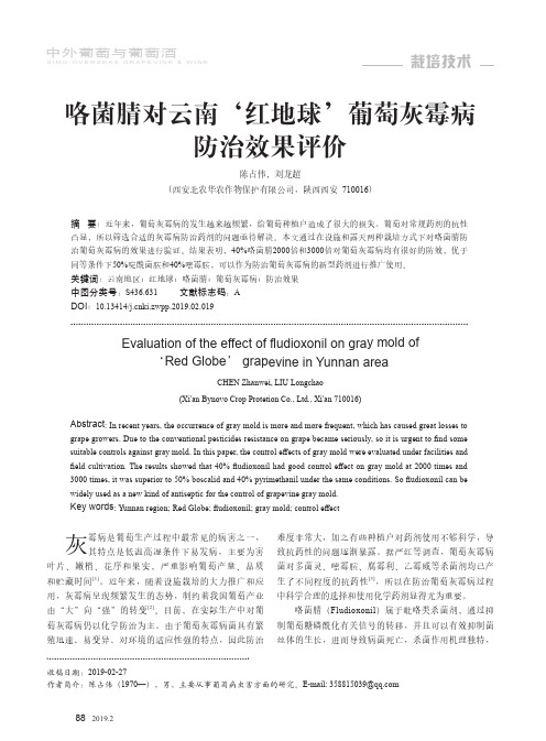 咯菌腈对云南‘红地球’葡萄灰霉病防治效果评价