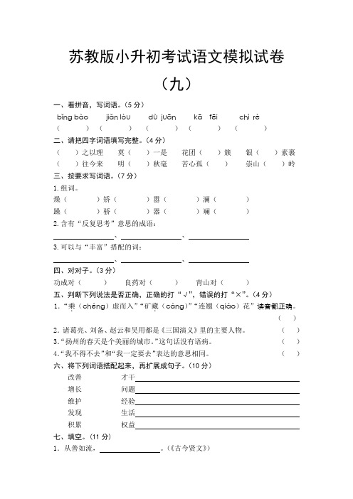 苏教版小升初考试语文模拟试卷(九)