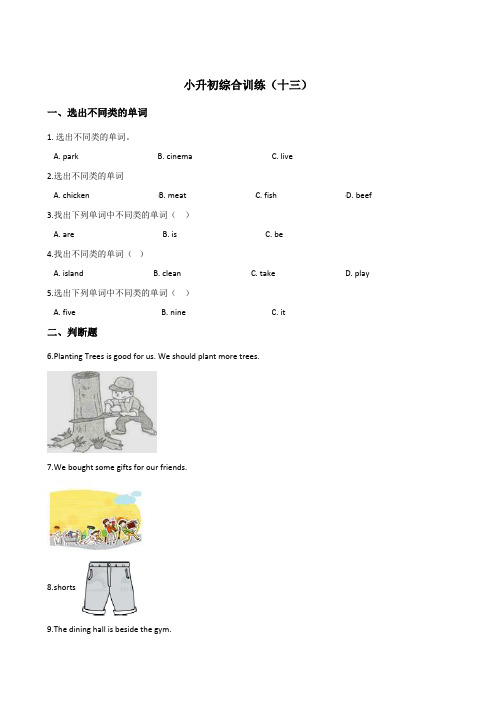六年级下册英语试题--小升初综合训练(十三) 外研版(三起点) 含答案