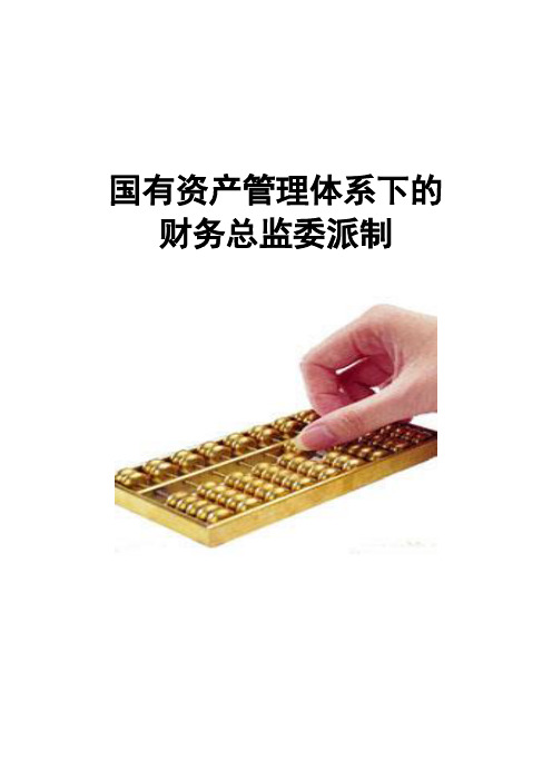 国有资产管理体制下的财务总监监管