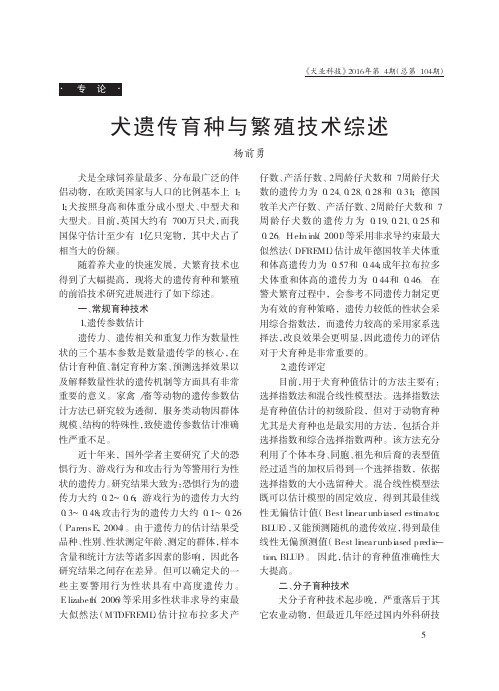 犬遗传育种与繁殖技术综述