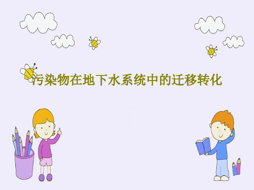 污染物在地下水系统中的迁移转化共140页