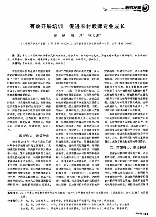 有效开展培训促进农村教师专业成长