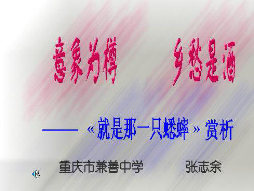 就是那一只蟋蟀全面版