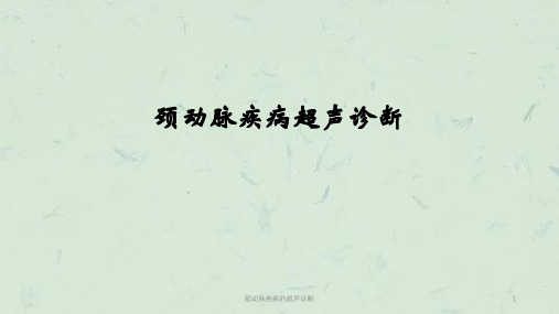 颈动脉疾病的超声诊断课件