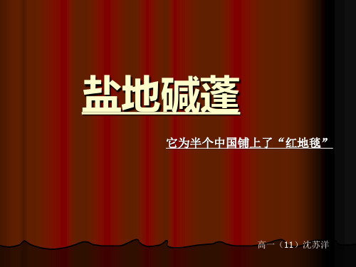 盐地碱蓬