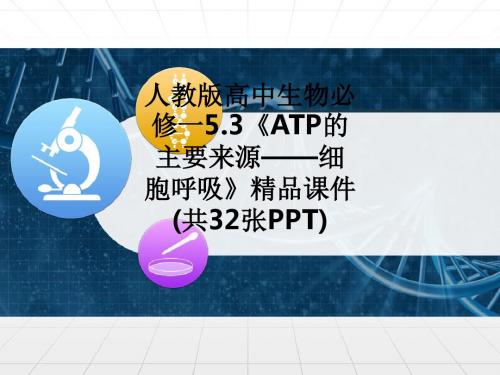 [医学]人教版高中生物必修一5.3《ATP的主要来源——细胞呼吸》精品课件 (共32张PPT)