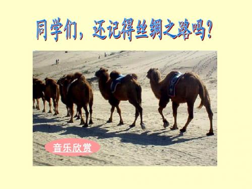 9和田的维吾尔43