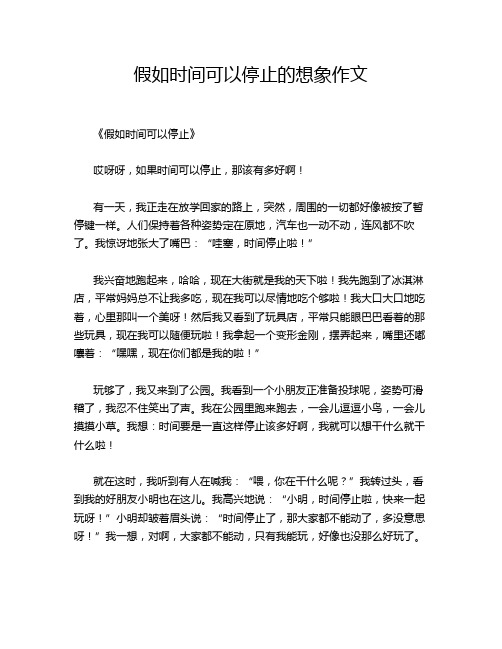 假如时间可以停止的想象作文