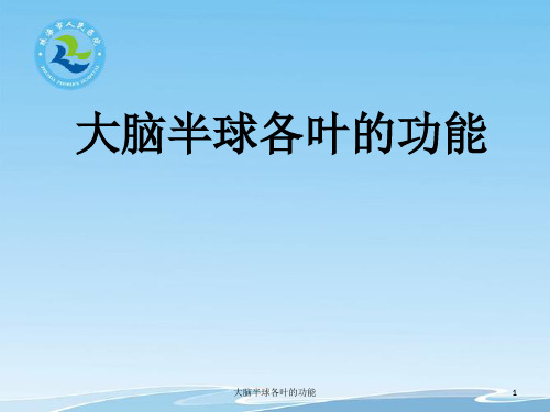 大脑半球各叶的功能PPT课件