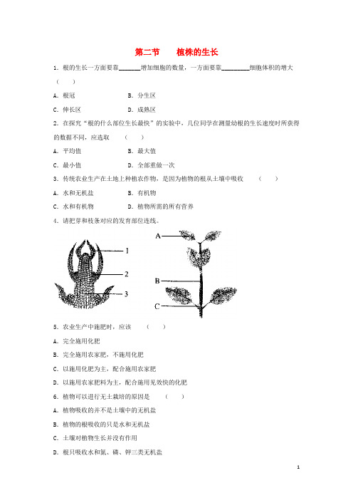 七年级生物上册 3.2.2 植株的生长同步练习1 (新版)新人教版