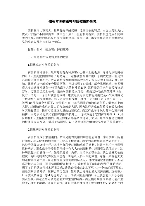 侧柏常见病虫害与防控策略研究