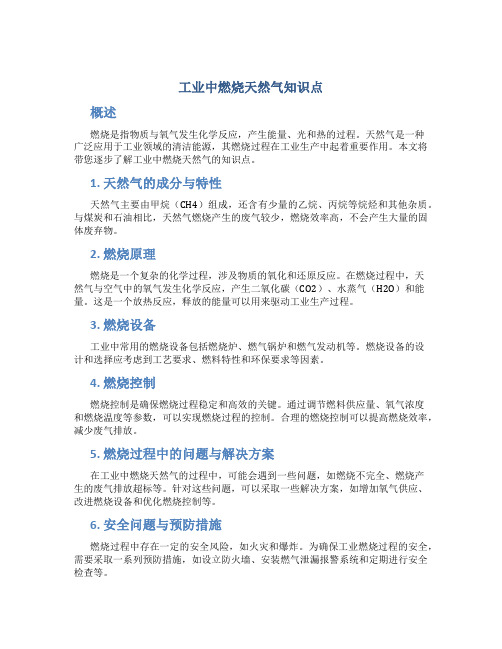 工业中燃烧天然气知识点