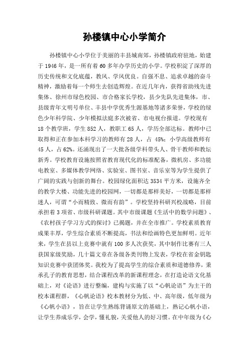 孙楼镇中心小学简介