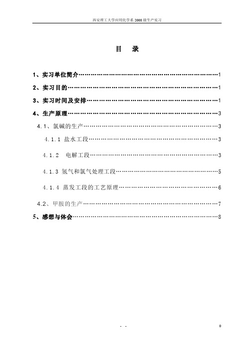 在陕西红星化工有限公司的实习报告