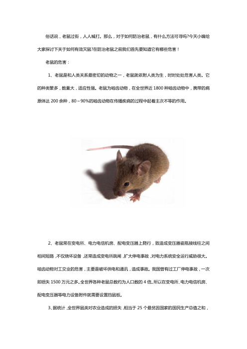 老鼠的危害及如何使用挡鼠板