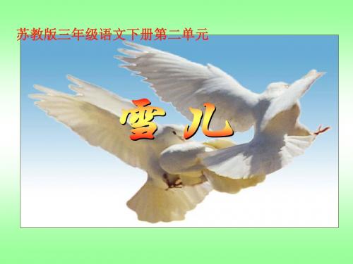 苏教版三年级下册语文《雪儿》课件PPT