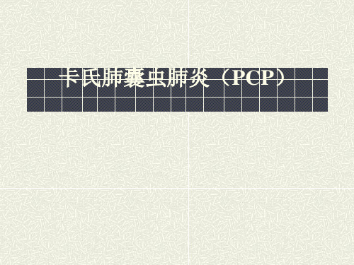 卡氏肺囊虫肺炎.ppt
