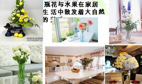 小学美术《瓶花与水果》优质课件