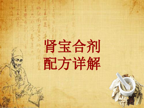 中成药配方详解：肾宝合剂