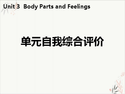 单元自我综合评价Body Parts and Feelings 精品PPT课件