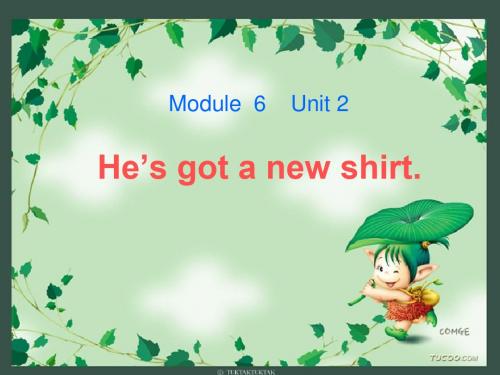 三上M6U2 He’s got a new shirt课件