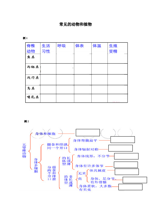 常见的动物植物 练习