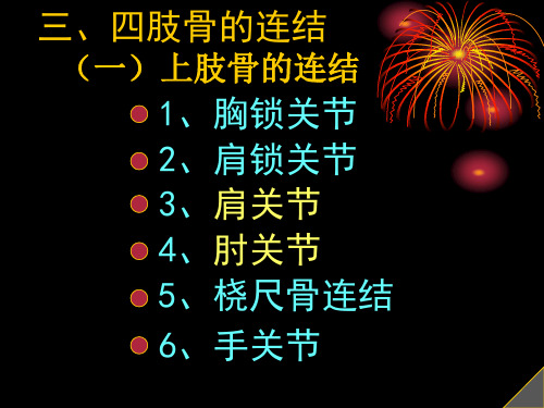 上肢骨的连结