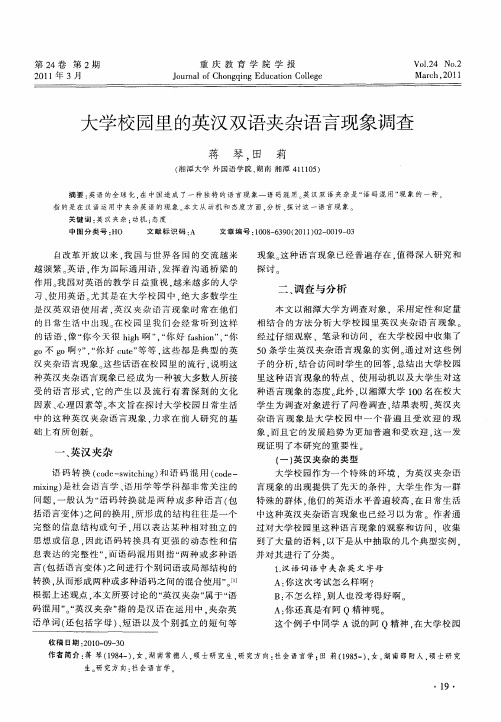 大学校园里的英汉双语夹杂语言现象调查
