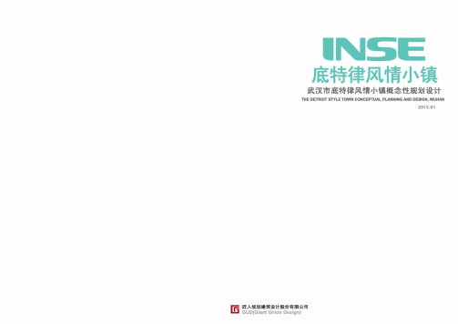 武汉项目PPT20120103