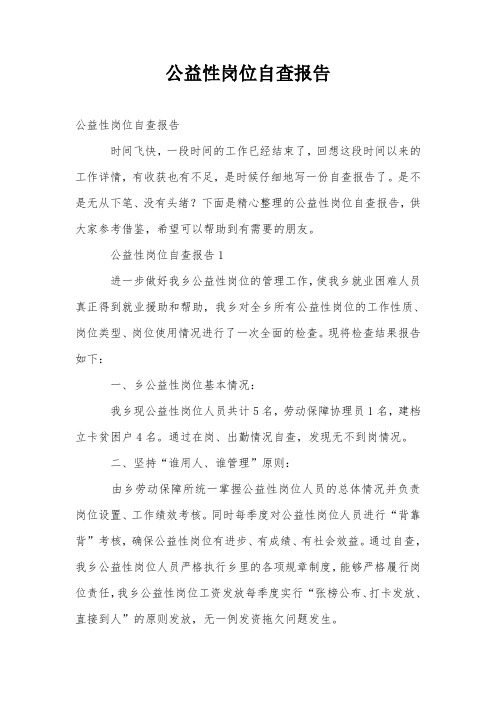 公益性岗位自查报告