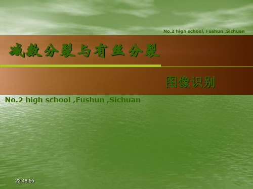 细胞分裂图像识别