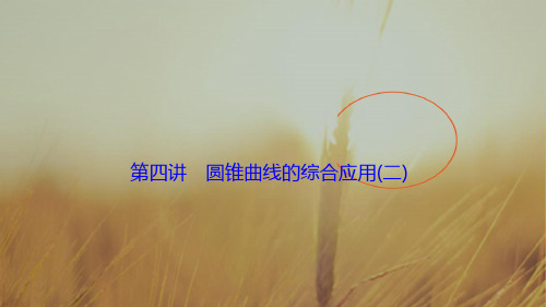 2018届高三数学理高考二轮复习书讲解课件第一部分 专题五 第四讲 圆锥曲线的综合应用二 精品