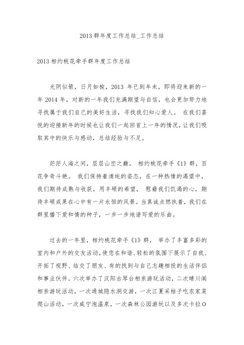 2013群年度工作总结