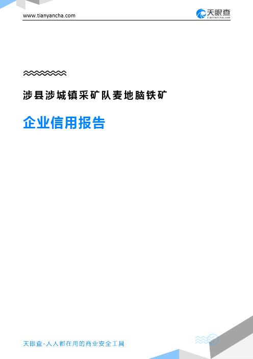 涉县涉城镇采矿队麦地脑铁矿企业信用报告-天眼查