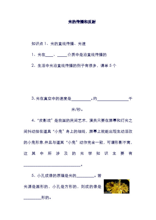 八年级物理上册： 3.2《探究光的反射规律》同步练习 (新版)粤教沪版.doc