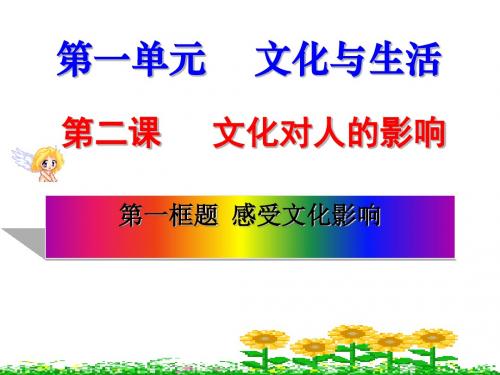 感受文化影响PPT课件12 人教课标版